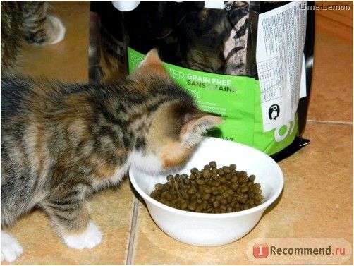 Go Natural Sensitivity + Shine Cat Беззерновой корм для Котят и Кошек с Чувствительным пищеварением: Форель, Лосось
